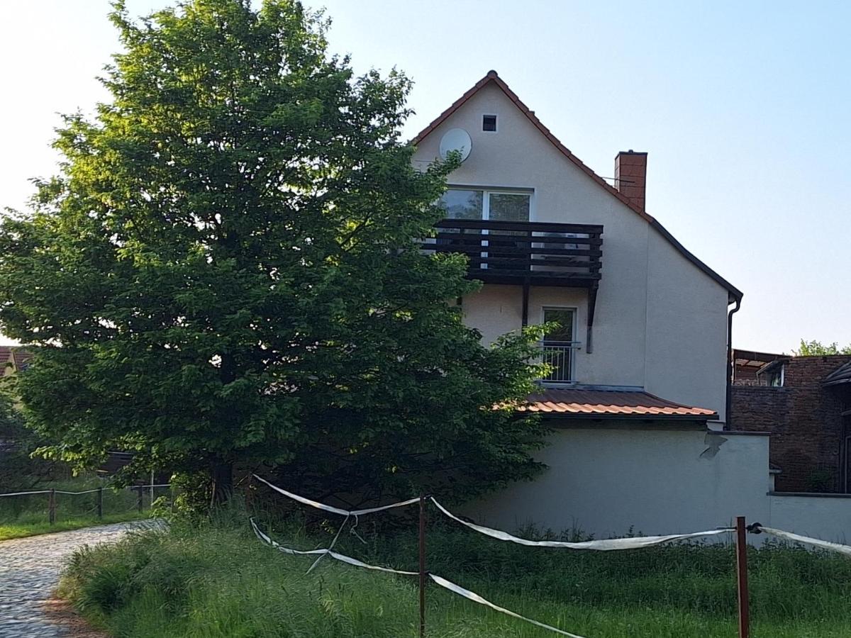 Ferienhaus Herztor Bad Bibra Экстерьер фото